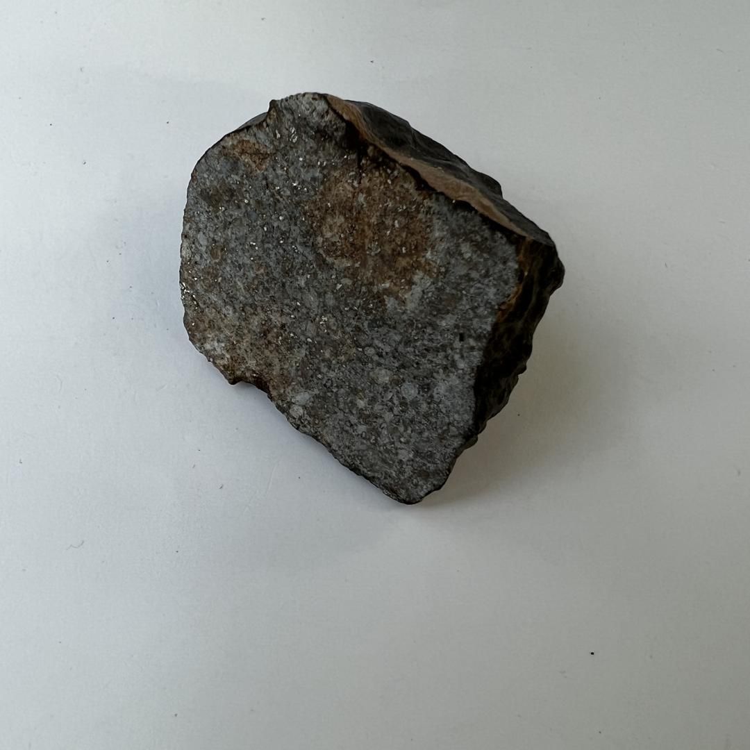 E20916】石質隕石＊普通コンドライト＊隕石＊Condrite NWA869＊メテオ