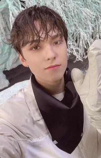 バーノン5枚セット 中古】コレクションカード(男性) SEVENTEEN/VERNON(バーノン)/裏面青