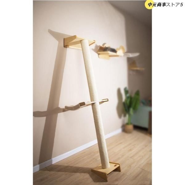 つっぱり 木登り