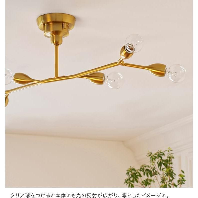 6灯 クラディ