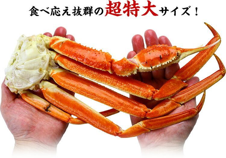 4Lサイズ|約14肩入り
