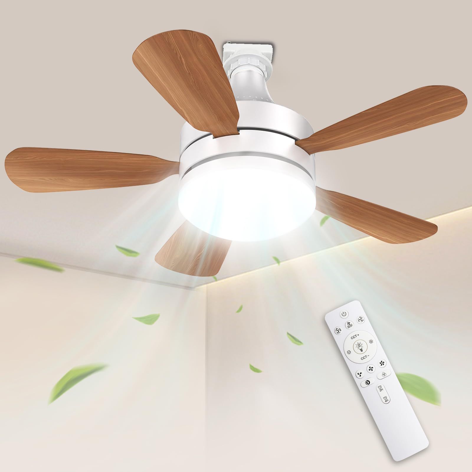 垣内カツアキ、『花咲く池畔（シリーズ日本の風景を謳う）』