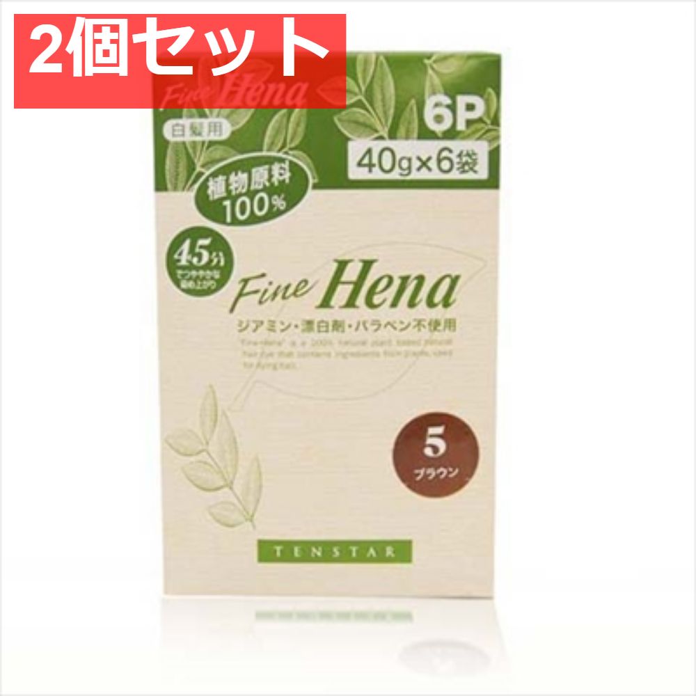 TFH-13N テンスターフアインヘナ6PBR 2個セット まとめ売り