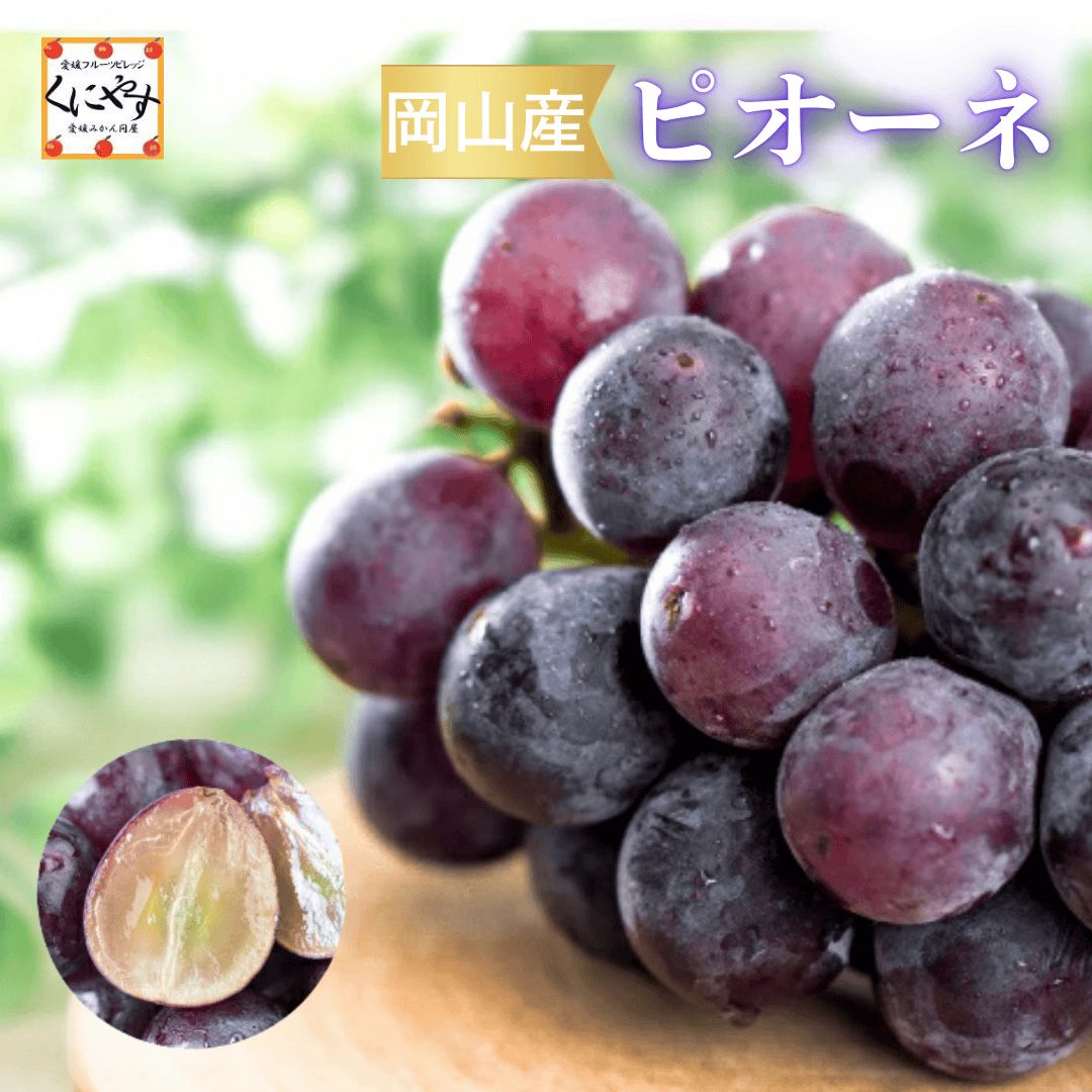 ご予約開始 黒い真珠 大粒で濃厚な味わい ギフト 贈答用 クール便 岡山産 ピオーネ 約1kg 約500g×2房 岡山産ピオーネ ぶどう 黒ぶどう