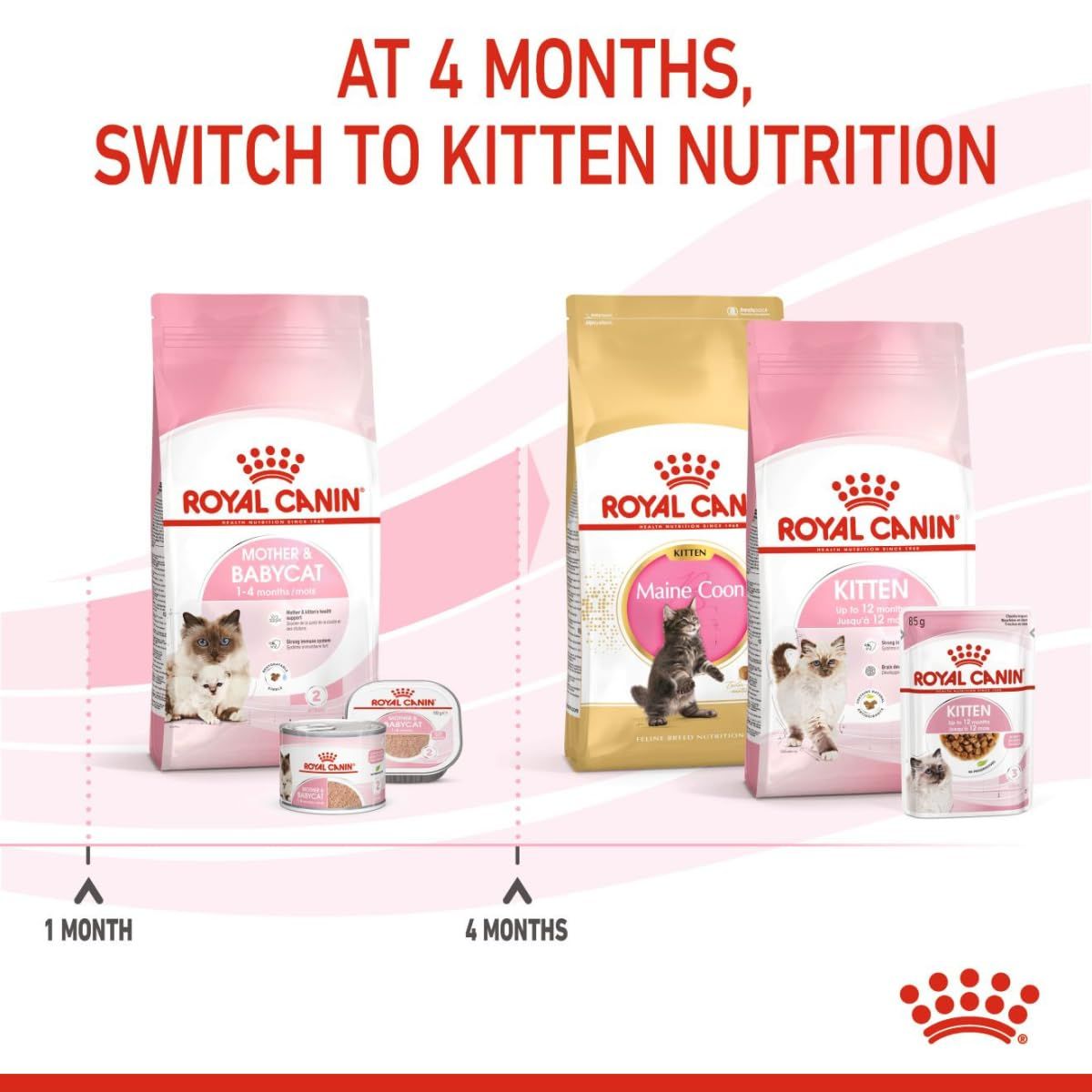 ロイヤルカナン FHN マザー&ベビーキャット 母猫・子猫用 4kg 商品の
