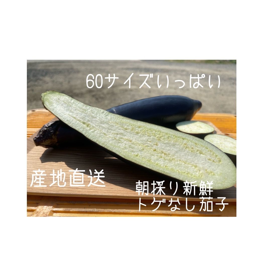 60サイズ箱いっぱい！ 産地直送 農家直送 朝採り 新鮮野菜 野菜 ナス