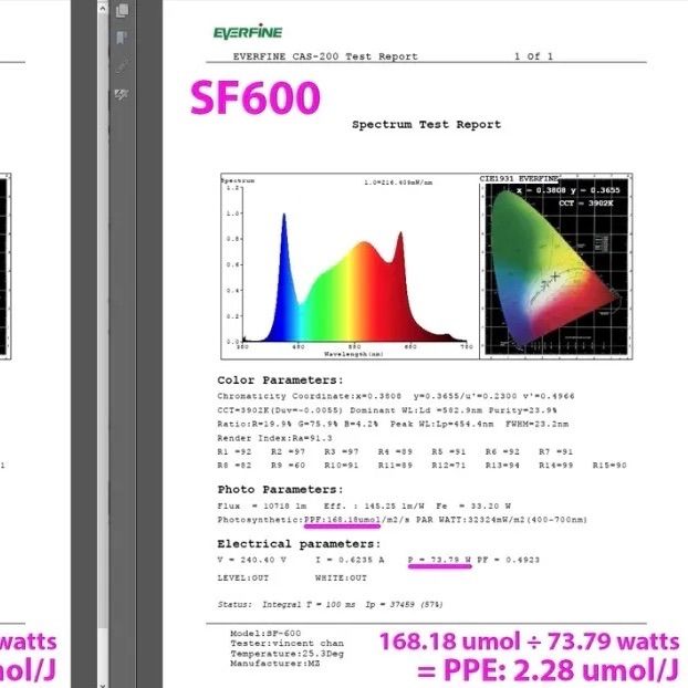 Spider Farmer SF-600 多肉 育苗 ハーブ 植物育成LED MARWIL-DEMENAGEMENTS_CH