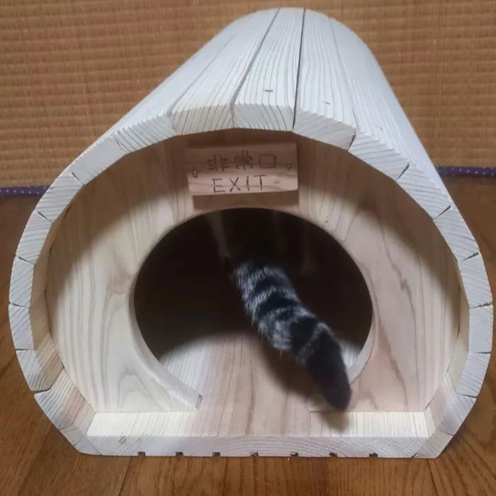 D棟｜キャットハウス ネコハウス