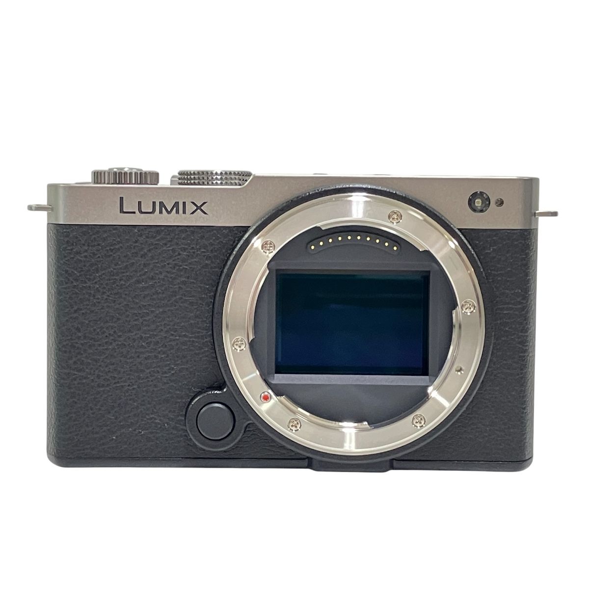Panasonic LUMIX S9 ミラーレスカメラ 美品 28-200レンズ LUMIX [3年