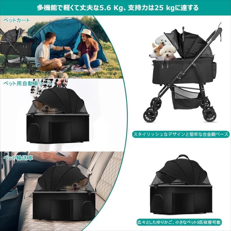 バギー 猫