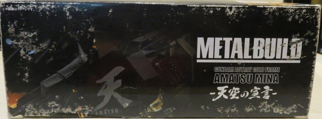 ゴールドフレーム天ミナ