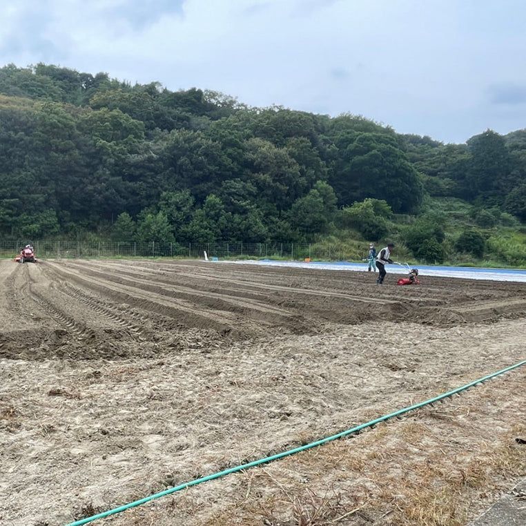 《訳あり》淡路島玉ねぎ “いくたま” 1.8kg【兵庫県淡路島産】