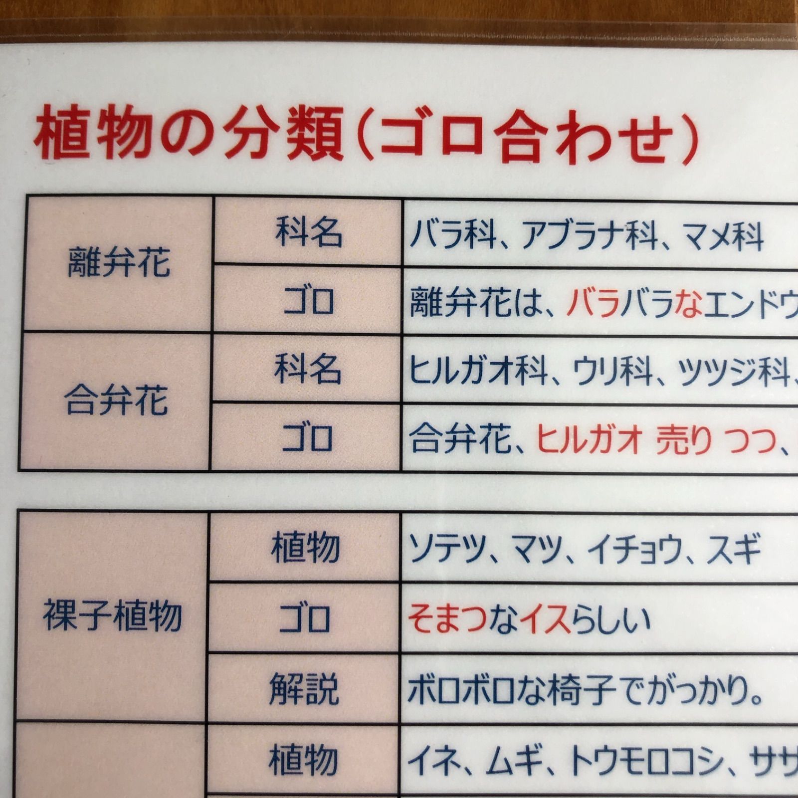 超人気新品 新品 未使用 中学受験 理科暗記ゴロ合わせ 参考書 Www Afdservex Es Www Afdservex Es