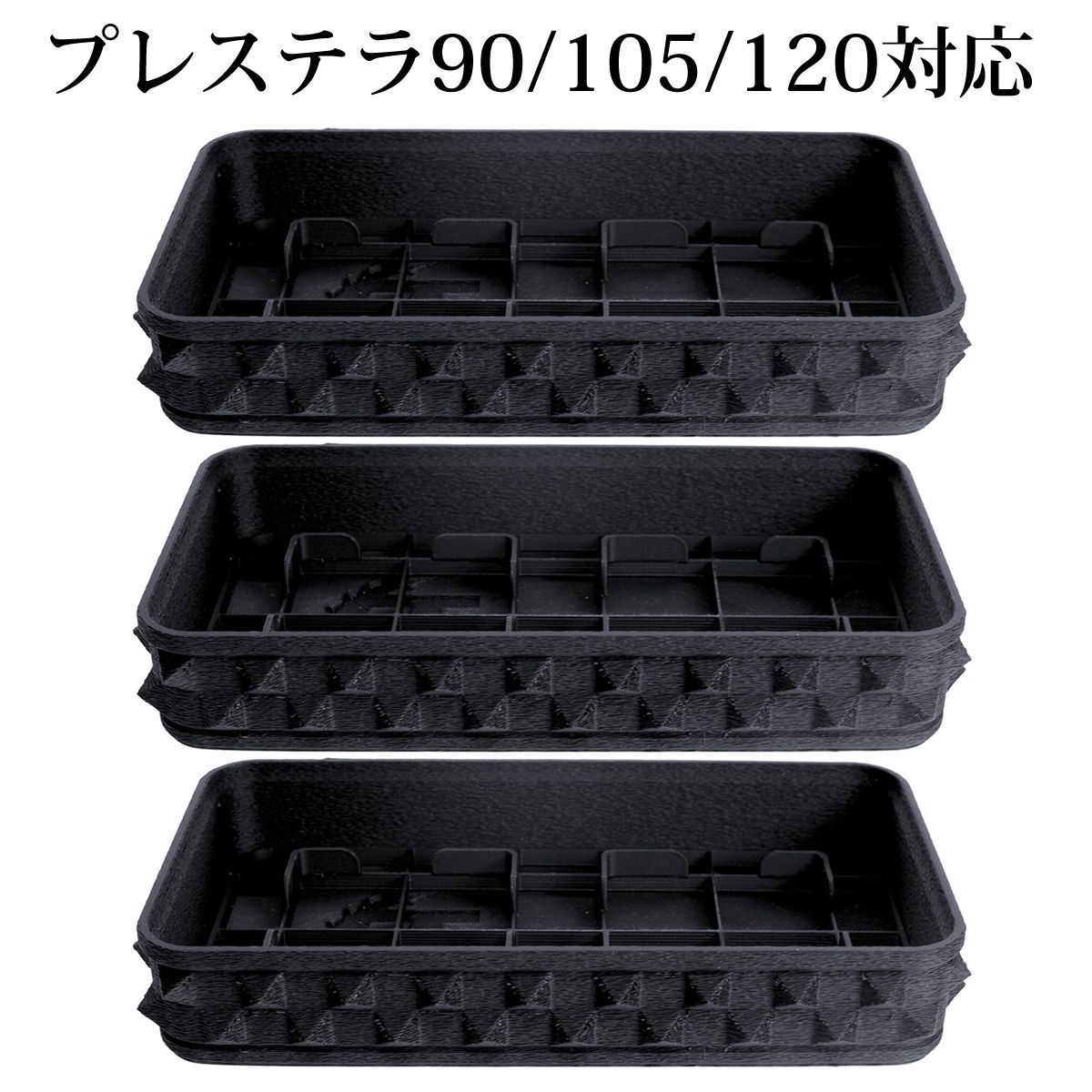 パキポディウム
