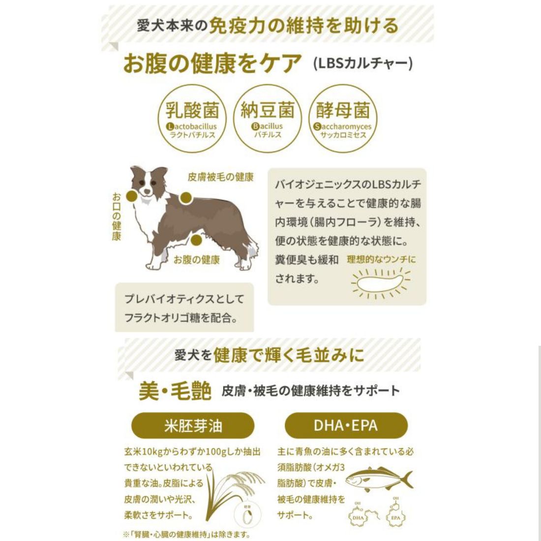 プロフェッショナル バランス