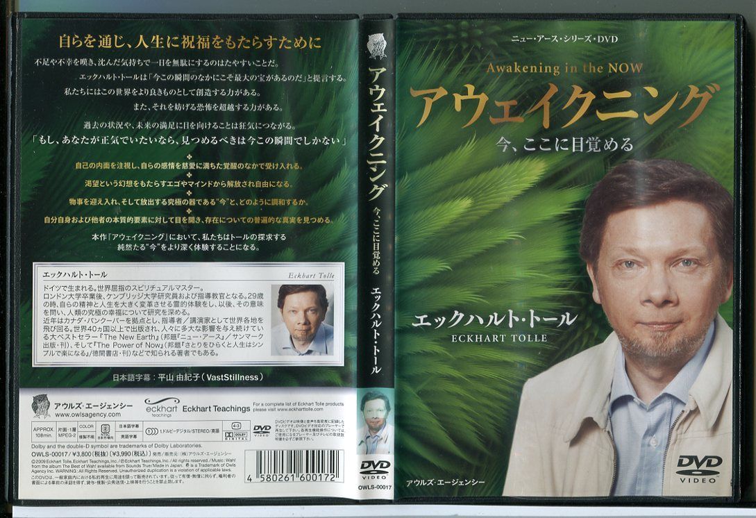 アウェイクニング 今、ここに目覚める/DVD 中古 レンタル落ち/エックハルト・トール/c3108