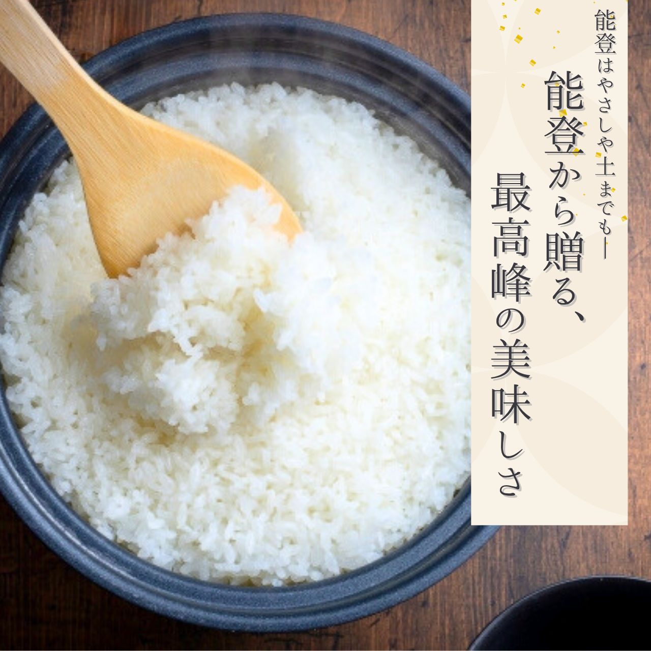 能登米こしひかり【稲穂】10㎏ 石川県産 石川 能登 コシヒカリ