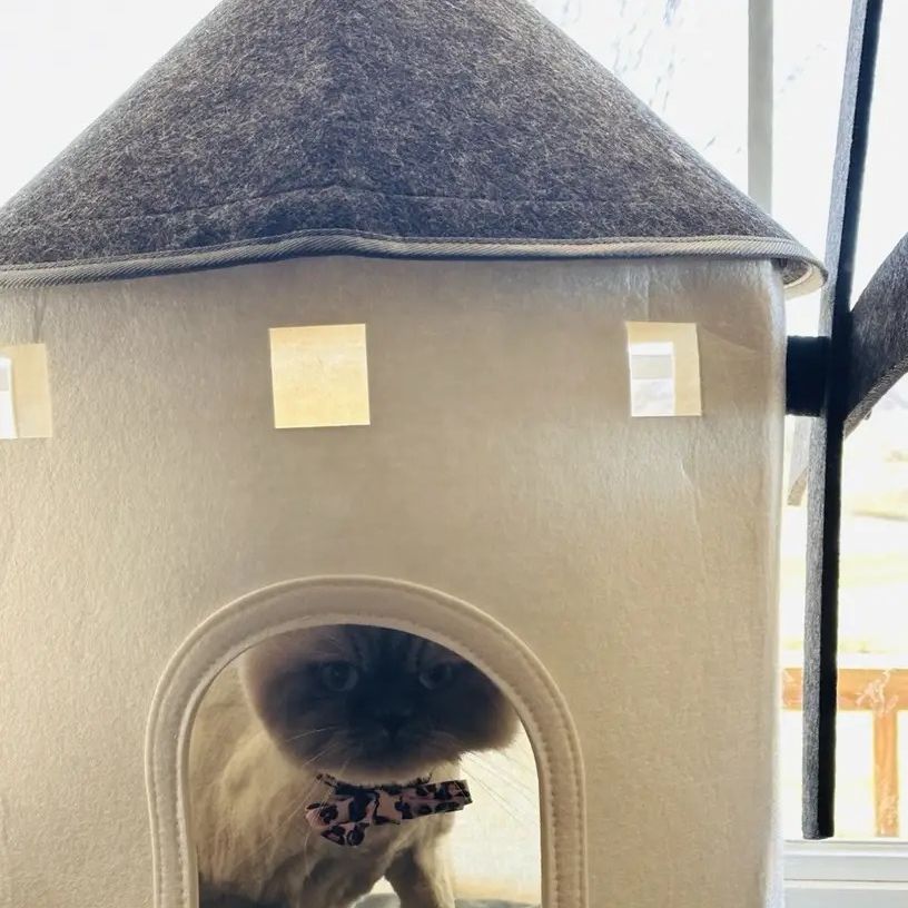 猫ベッド 室内用