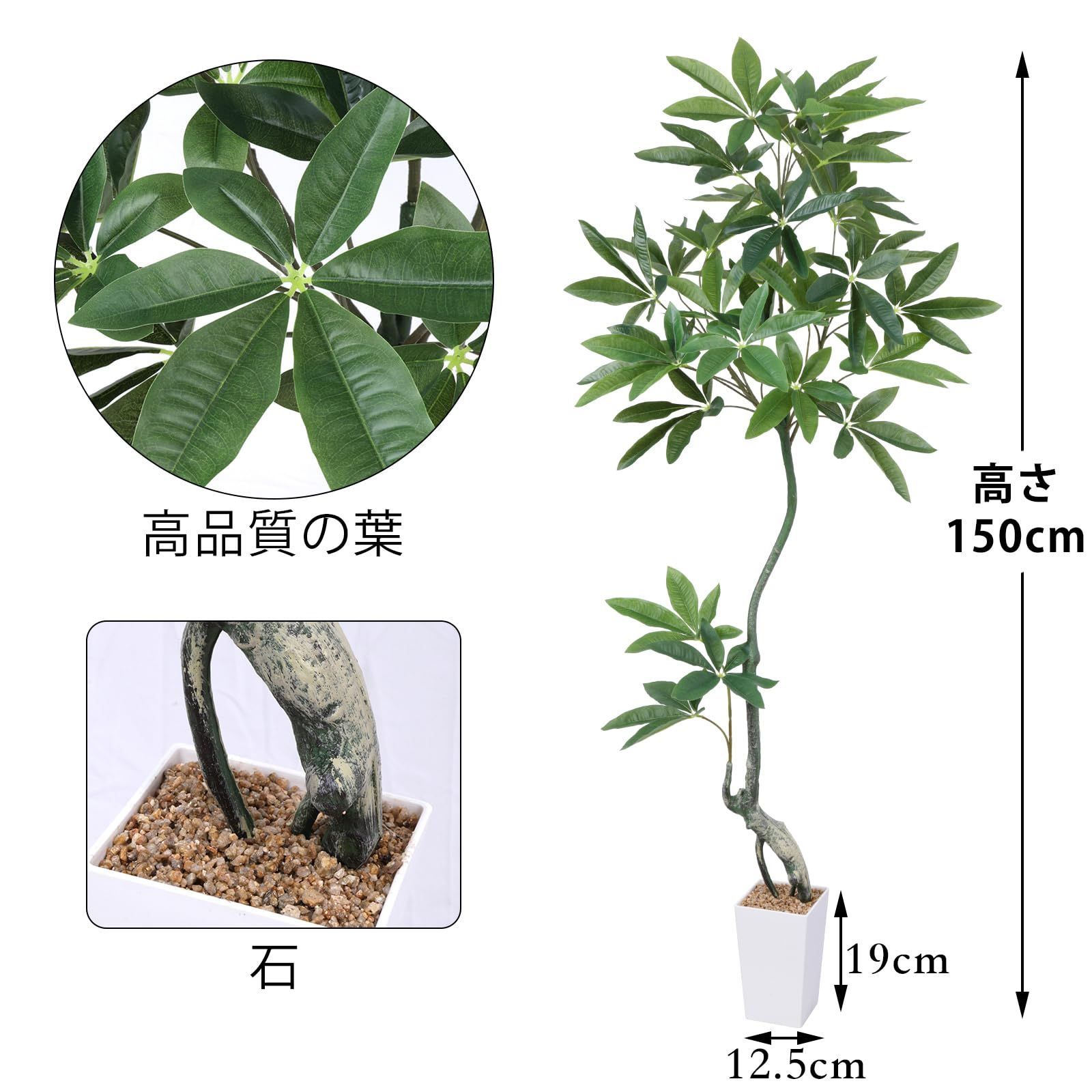 人気商品 観葉樹