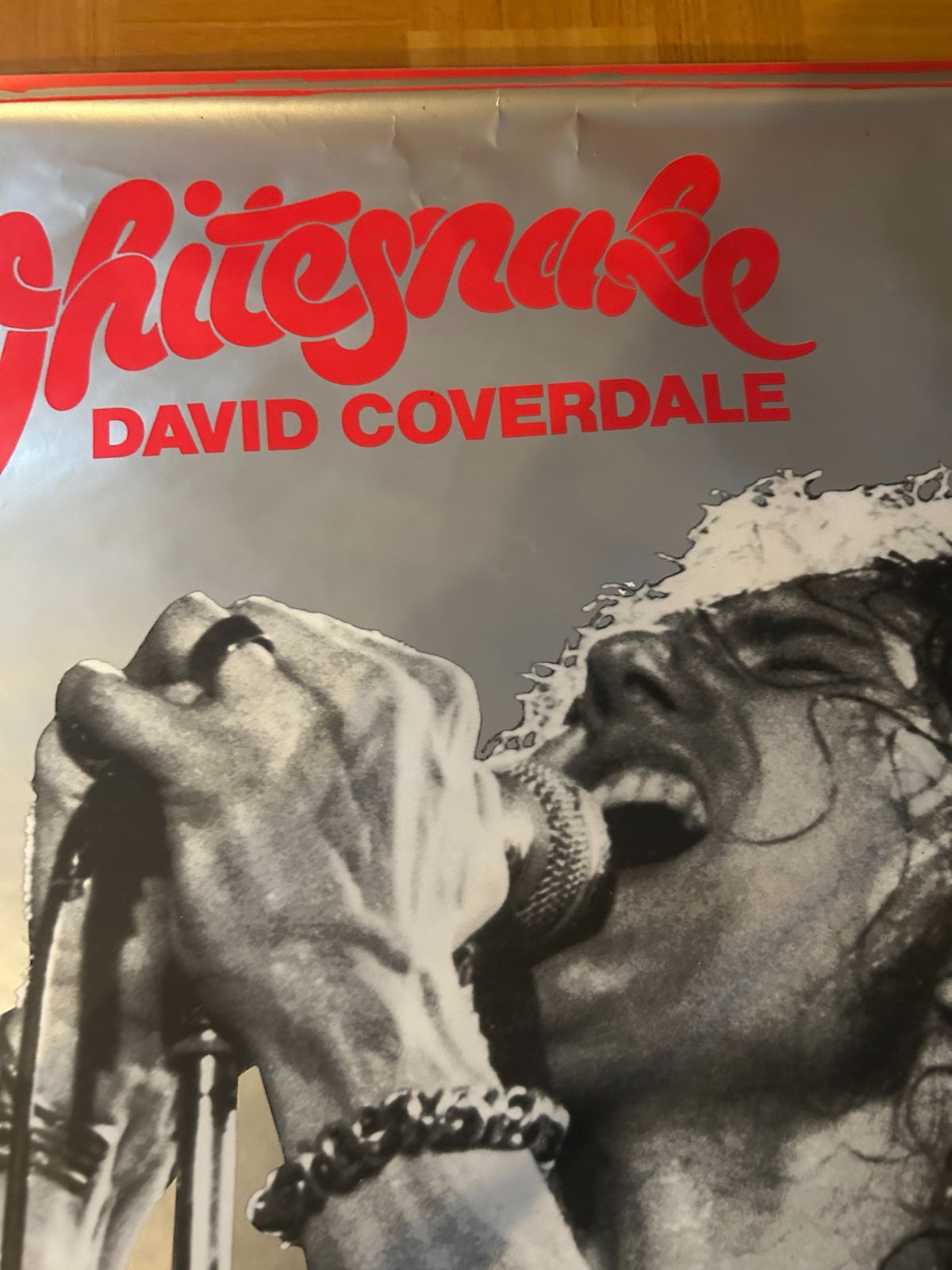 ホワイト・スネイク Whitesnake / David Coverdale 1980年代