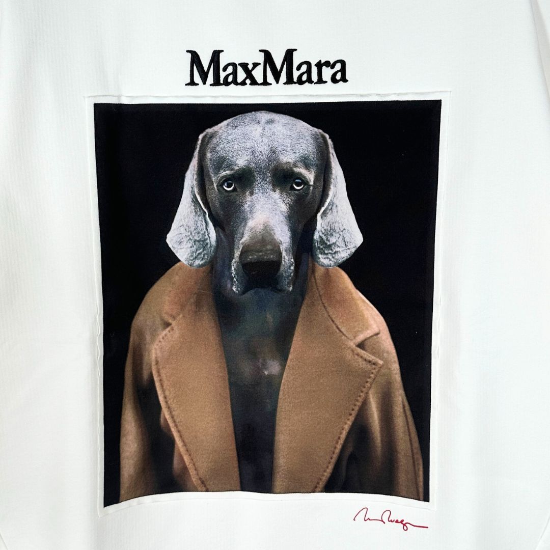 MaxMara BACCO 新品未使用 Max Mara MAX MARA マックスマーラ トレーナー BACCO バッコ