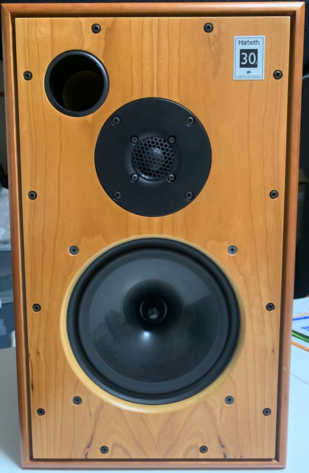 monitor30.1
