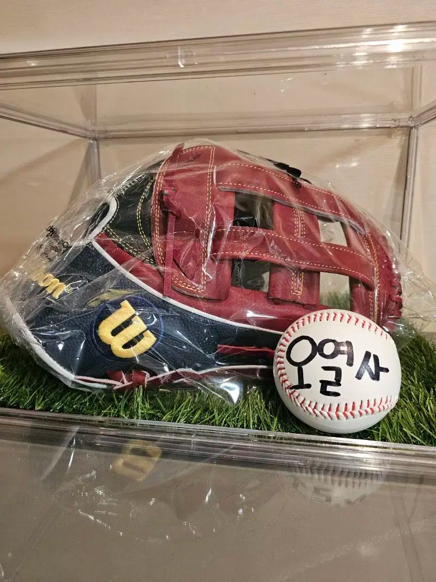 ウィルソン Wilson