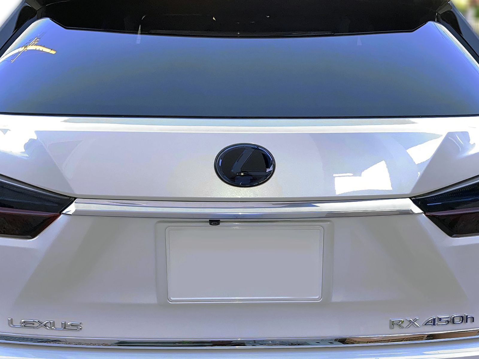 Tint+カット済み エンブレム スモークフィルム レクサスRX 20系(スモーク20％ 前後セット) RX200t/RX350/RX450h AGL20W/GGL20W/GYL20W型
