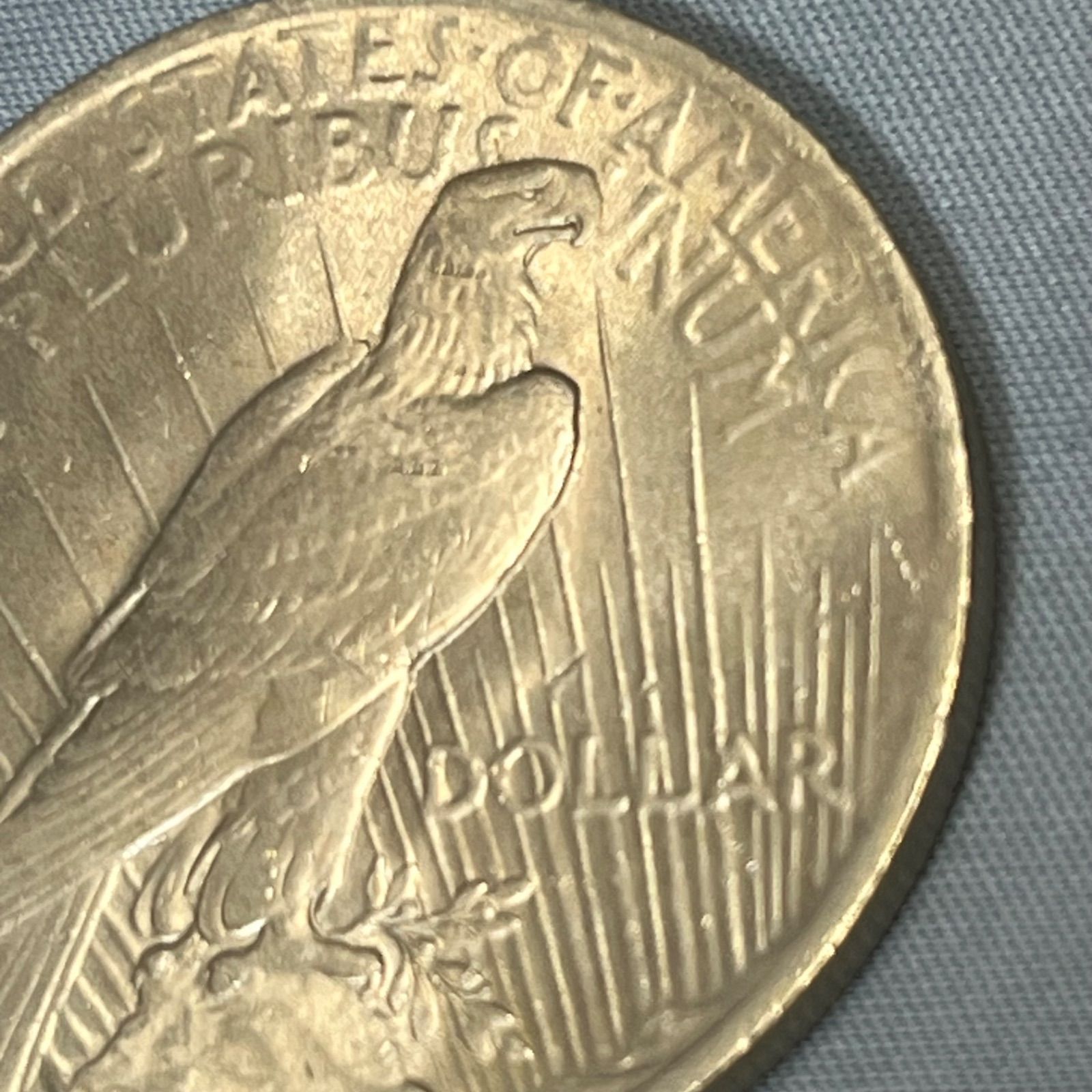 銀貨】1922年 アメリカ ピースダラー 1ドル銀貨 281 一 円 銀貨