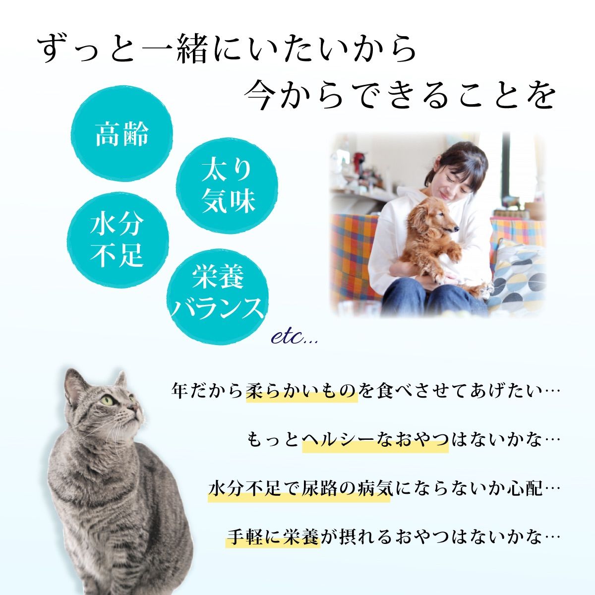 美味しいおやつサプリメント 鹿肉健康ジュレ