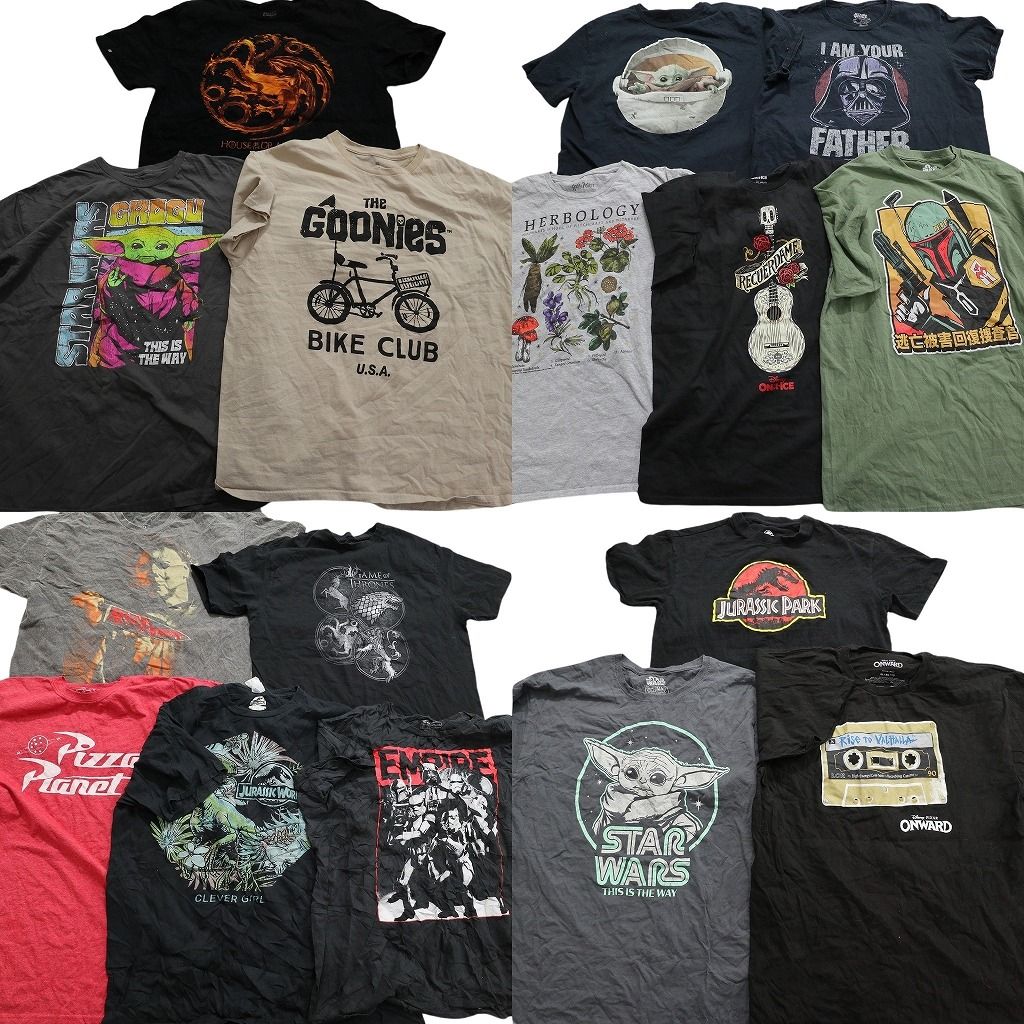 古着卸 まとめ売り 映画・ドラマ 半袖Tシャツ 16枚セット (メンズ XL ) スターウォーズ ジュラシックパーク グーニーズ 中古 古着 MY7711