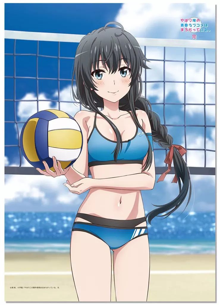 【中古】タペストリー 雪ノ下雪乃(ビーチバレー) 描き下ろし B2タペストリー 「やはり俺の青春ラブコメはまちがっている。完」