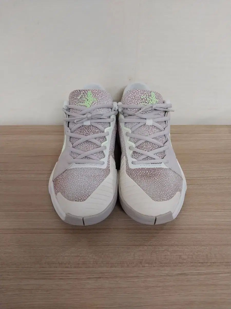 メンズ NIKE ナイキ GP 挑戦 プロ プレミアム オールコート テニスシューズ スニーカー 265