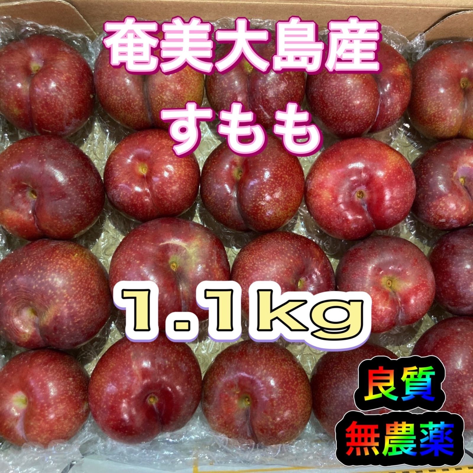 大特価！！15キロすもも 鹿児島産 無農薬 訳あり品 キズあり虫食いあり 鹿児島産すもも 箱込み1.2㎏ 無