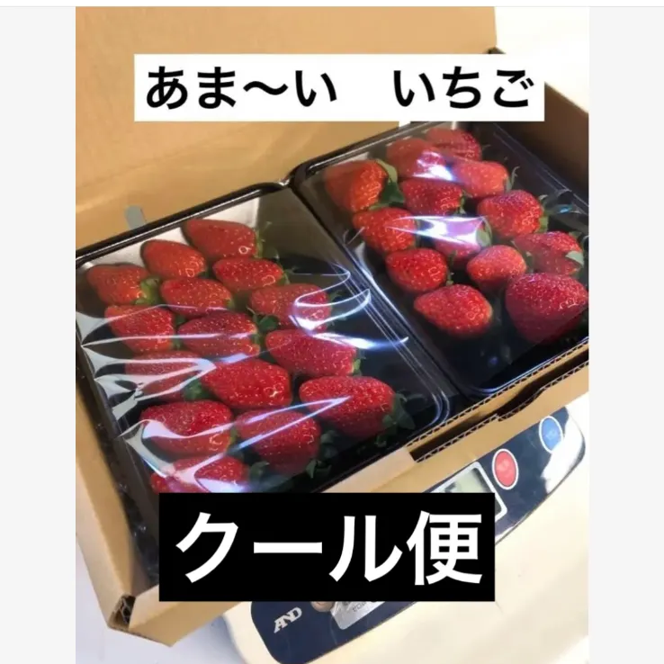日本産】 商品詳細｜イチゴ、ジャムの通販｜かとういちご園 いちご 苺 2パック