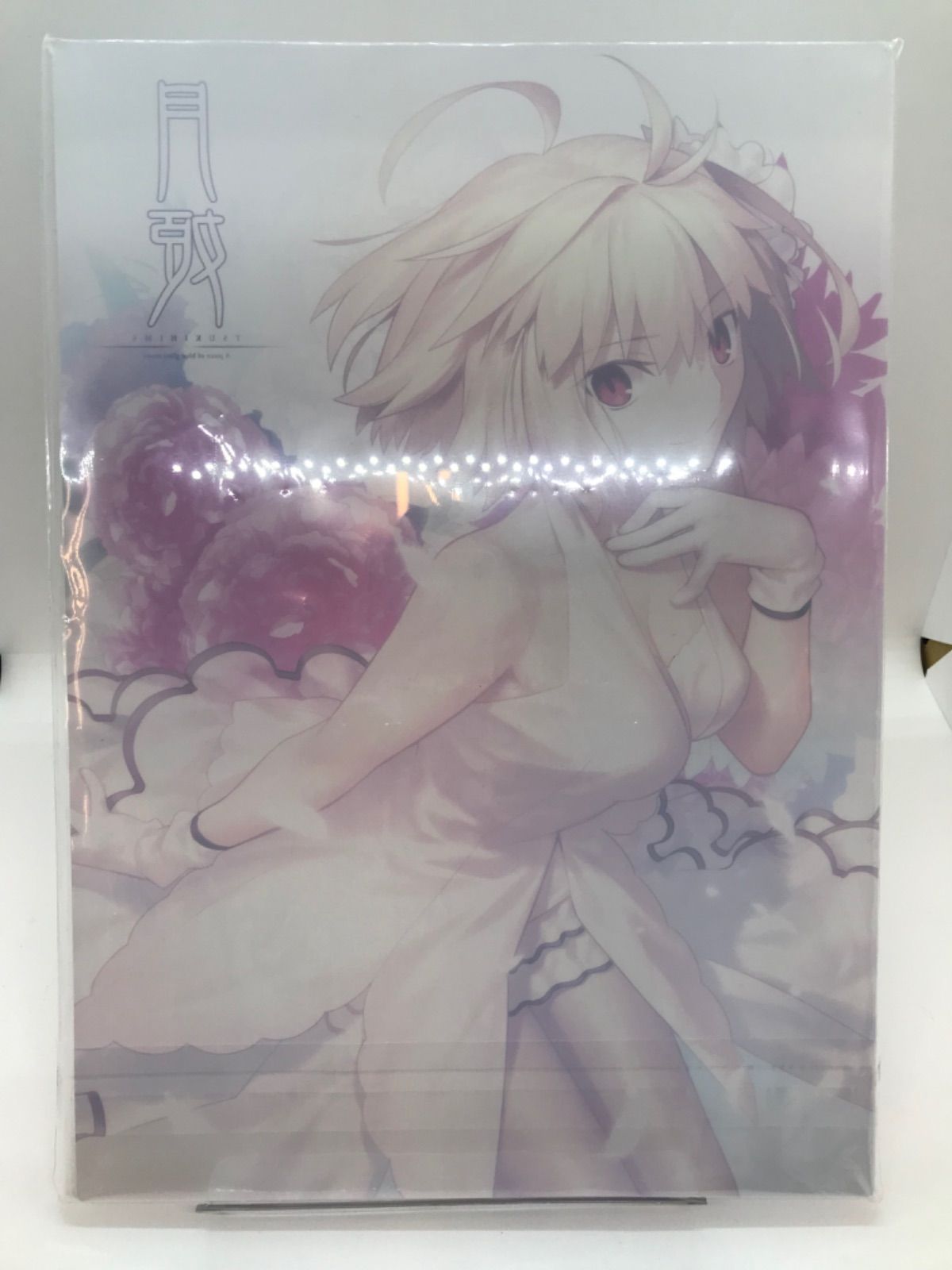 月姫　アニメイト限定特典　A4 アクリルパネル　未使用未開封 月姫 アニメイト限定特典 武内崇 書き下ろし A4アクリルパネル