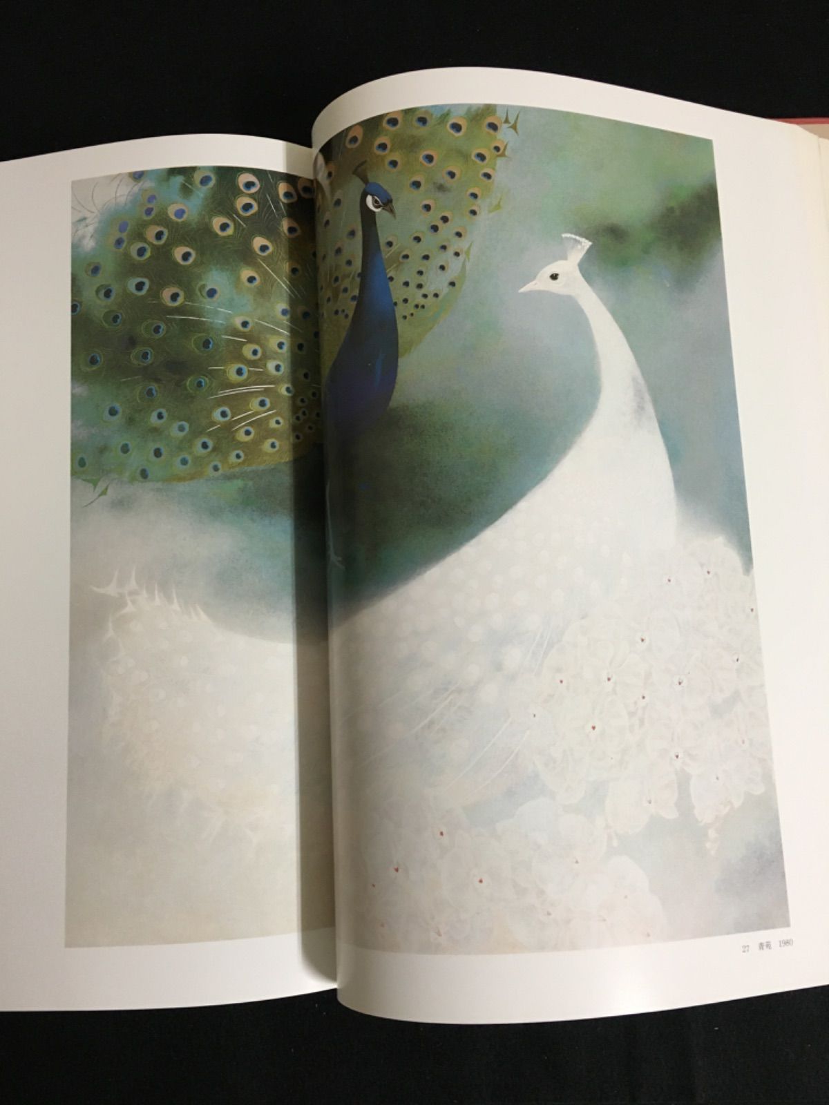 稀少 加倉井和夫画集 限定500部 新品 激レア 貴重 「加倉井和夫画集