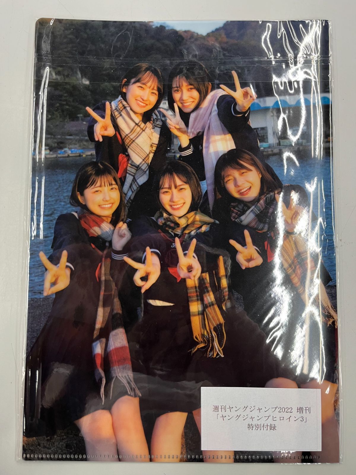 ◆【中古】週刊ヤングジャンプ ヒロイン3 2022年増刊付録 B5サイズクリアファイル