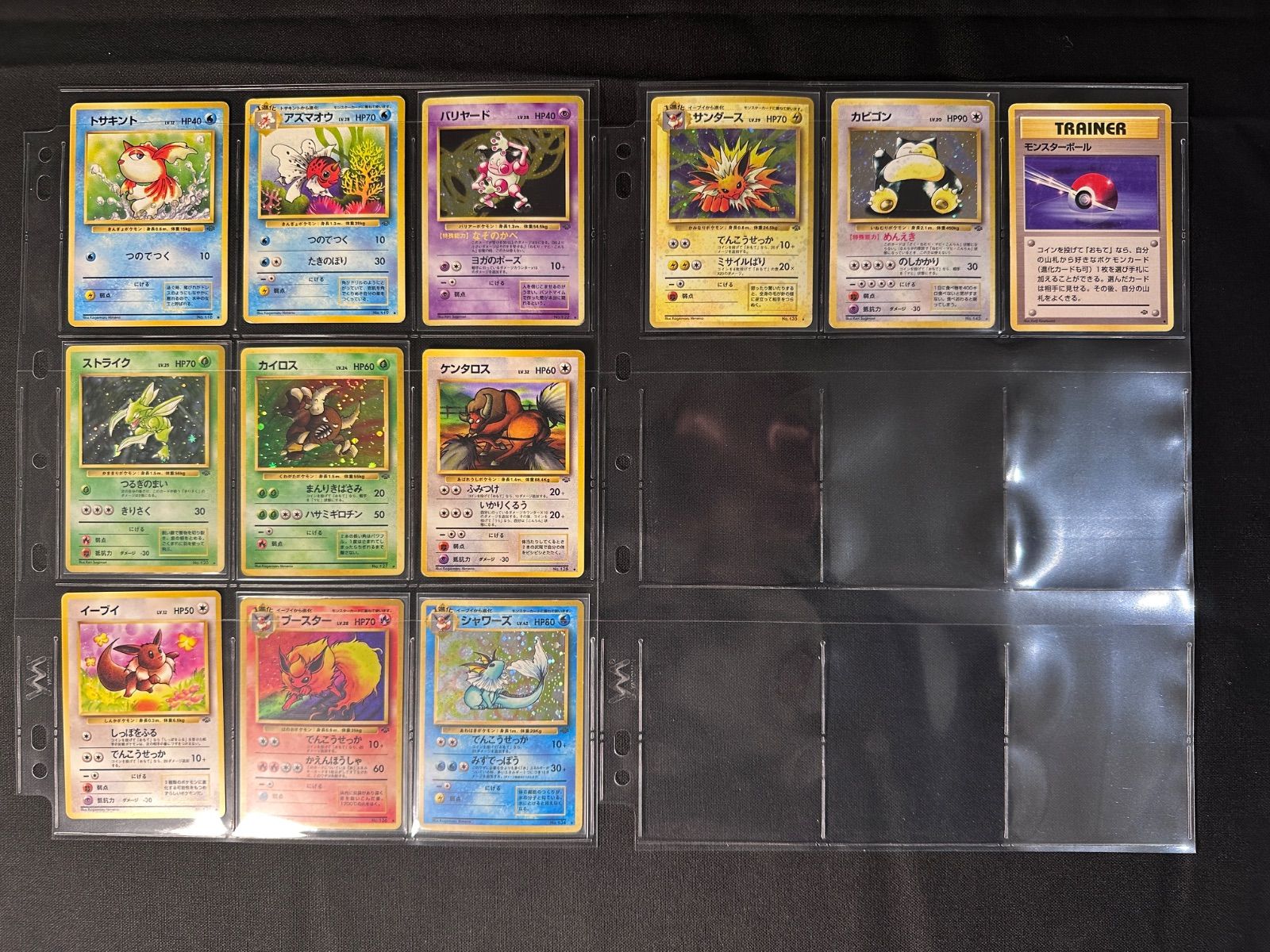 旧裏 第2弾 拡張パック「ポケモンジャングル」 全48枚 コンプリート