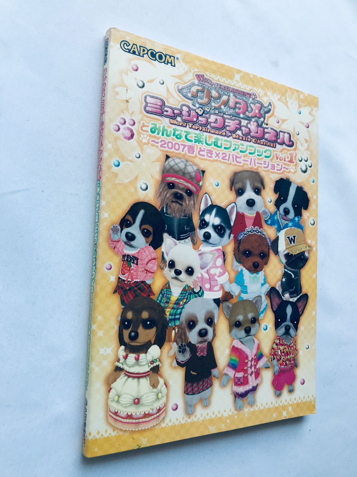 ワンタメ ミュージックチャンネルとみんなで楽しむファンブック