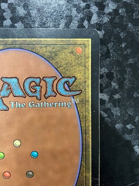◎MTG 316/350 Flooded Strand/溢れかえる岸辺 英語 - メルカリ