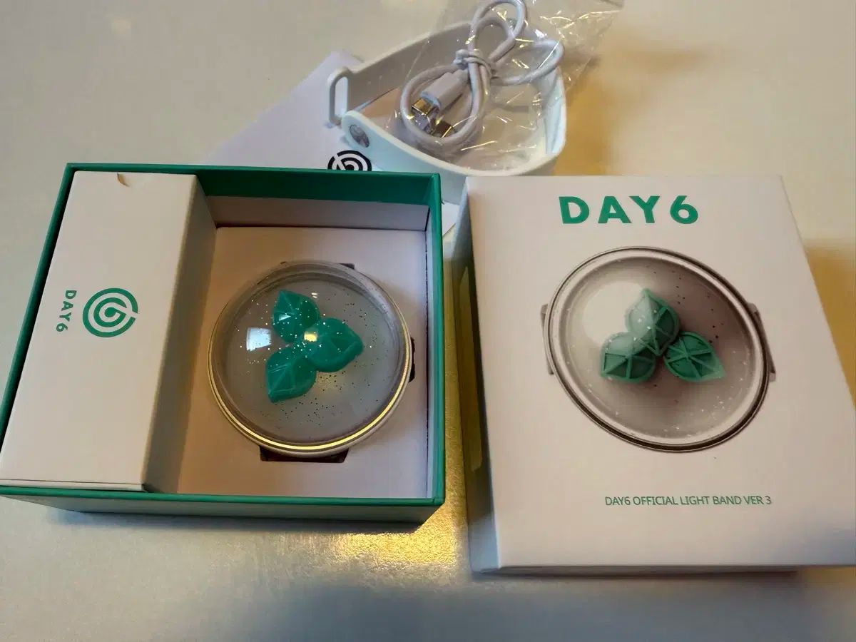 DAY6 OFFICIAL LIGHT BAND Day6 ペンライト 単純開封 新品