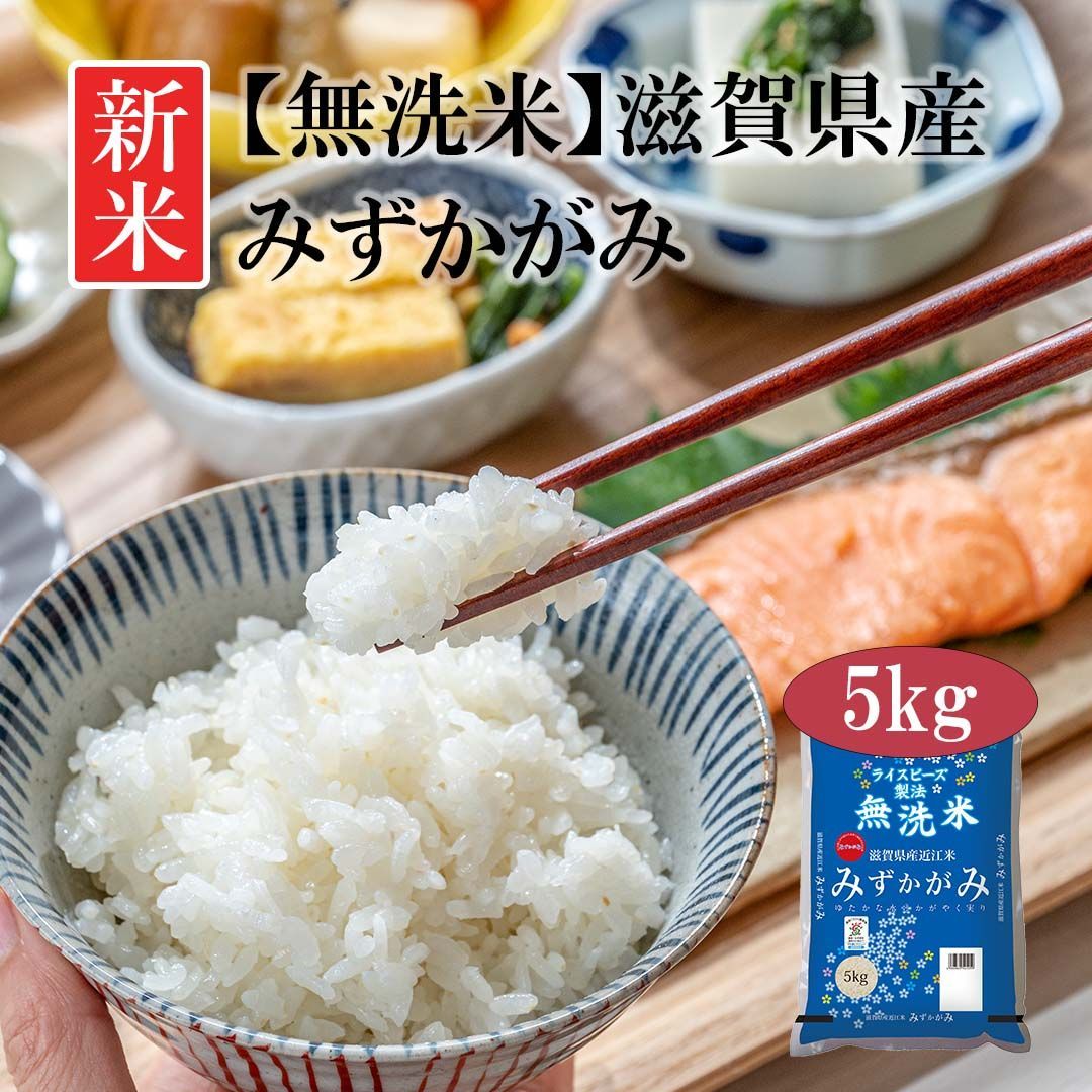 無洗米 米 滋賀県産 近江米 みずかがみ 5kg 令和5年産 新米 お米 白米