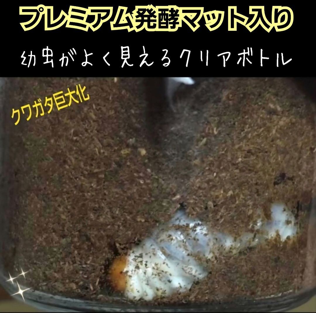 特大サイズ1500mlクリアボトル入り プレミアム3次発酵マット【2本