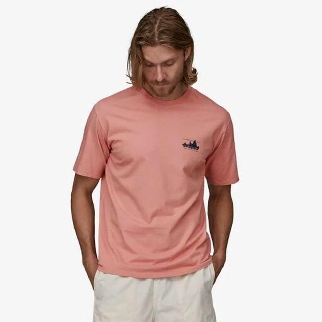 期間限定早い物勝ちpatagonia ピンク Tシャツ M USA製希少価値 パタゴニア patagonia Tシャツ M M's '73 Skyline ピンク - メルカリ