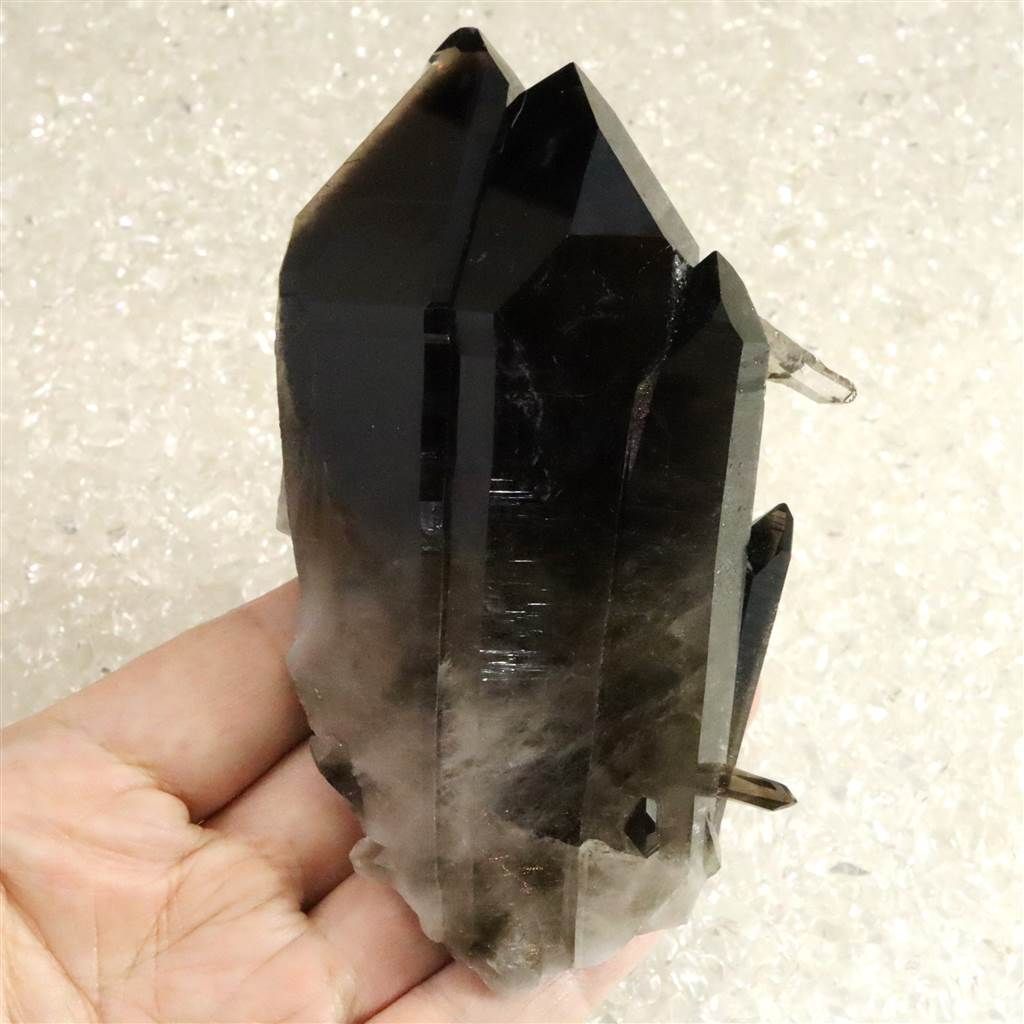 米国アーカンソー州産　黒水晶 モリオン ポイント原石 クラスター ファントム 貫入 レコード・キーパー バーナクル 証明書付 403g 【榎本通商77867】