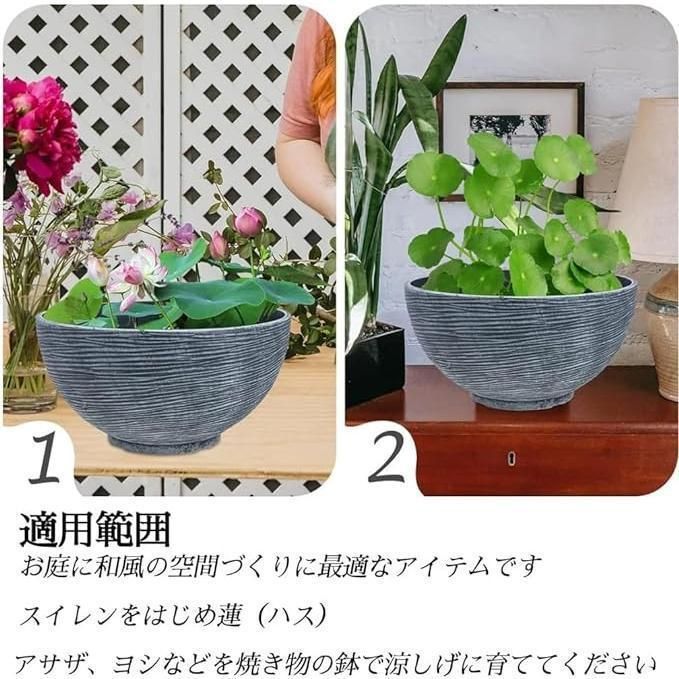 鉢 メダカ鉢