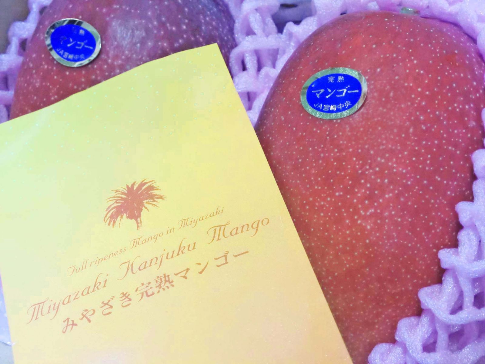 宮崎マンゴー 超大玉