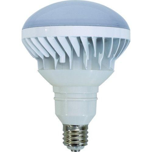 2営業日で発送 L40V2J11050K日動 LED交換球 ハイスペックエコビック40W E39 昼白色 本体白8687853