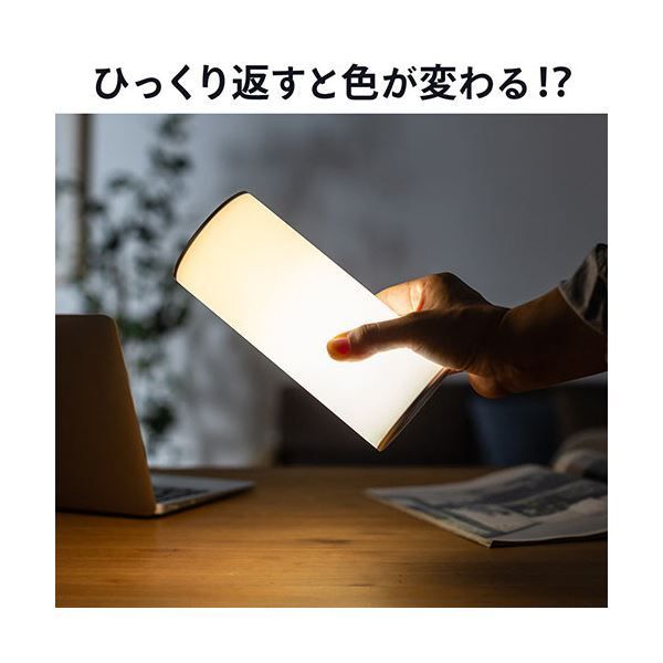 サンワダイレクト LEDライト 6段階調整 充電式 タッチパネル リバーシブル 800-LED025 1個